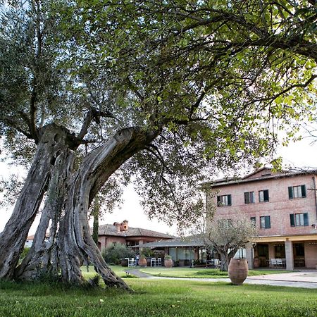 Locanda Poggioleone Castiglione del Lago Luaran gambar